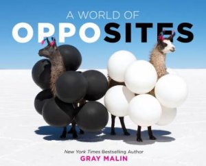 A World Of Opposites by Gray Malin