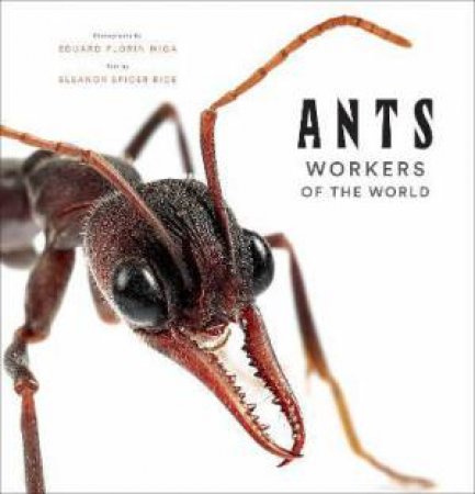 Ants by Eleanor Spicer Rice & Eduard Florin Niga & Eduard Florin Niga