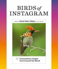 Birds Of Instagram