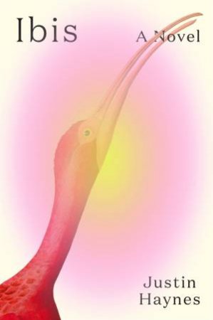 Ibis by Justin Haynes