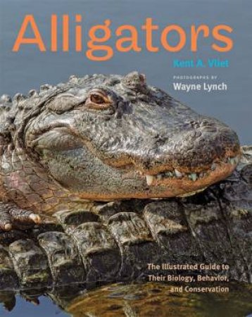 Alligators by Kent A. Vliet & Wayne Lynch