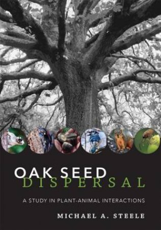 Oak Seed Dispersal by Michael A. Steele