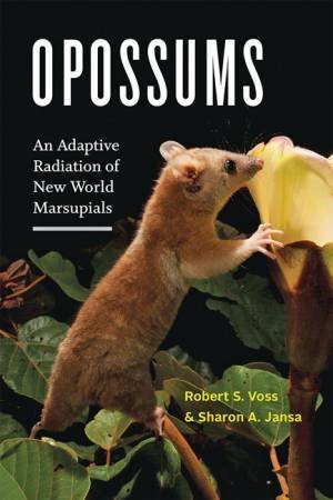 Opossums: An Adaptive Radiation Of New World Marsupials by Robert S. Voss