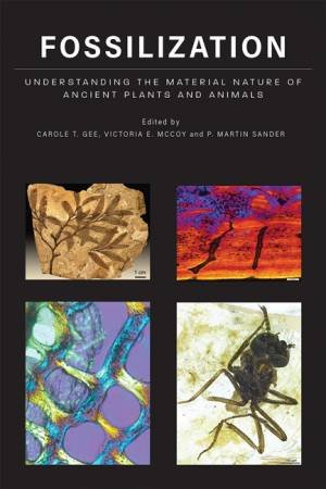 Understanding The Material Nature Of Ancient Plants And Animals by Victoria E. McCoy, P. Martin Sander & Carole T. Gee