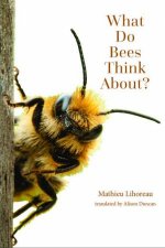 What Do Bees Think About