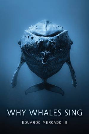 Why Whales Sing by Eduardo Mercado