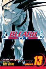 Bleach 13