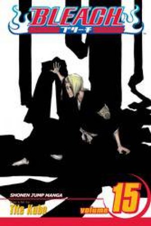 Bleach 15 by Tite Kubo