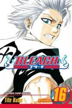 Bleach 16 by Tite Kubo