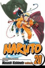 Naruto 20