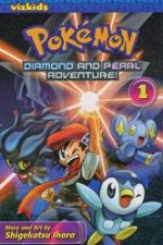 Pokemon Diamond  Pearl Adventure 01