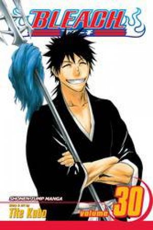 Bleach 30 by Tite Kubo