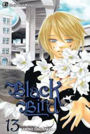 Black Bird 13 by Kanoko Sakurakoji