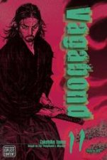 Vagabond VIZBIG Edition 11