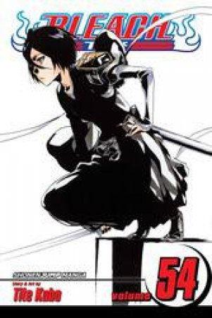 Bleach 54 by Tite Kubo