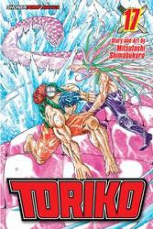 Toriko 17 by Mitsutoshi Shimabukuro