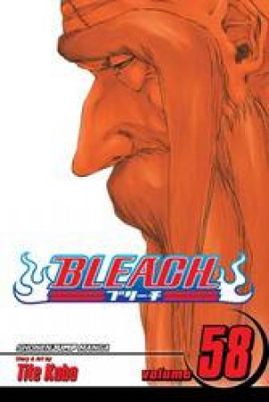 Bleach 58 by Tite Kubo