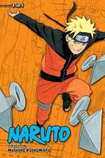 Naruto 3in1 Edition 12