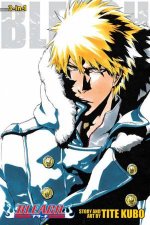 Bleach 3in1 Edition 17