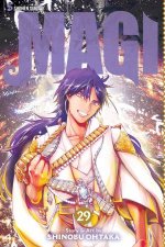 Magi 29