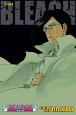 Bleach 3in1 Edition 24