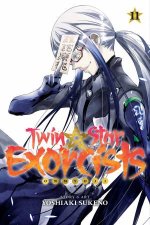 Twin Star Exorcists 11