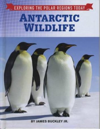 Exploring the Polar Regions Today: Antarctic Wildlife by James Buckley Jr.