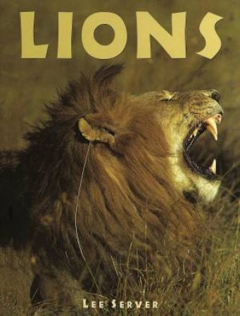 Animals in the Wild: Lions by Lee Server