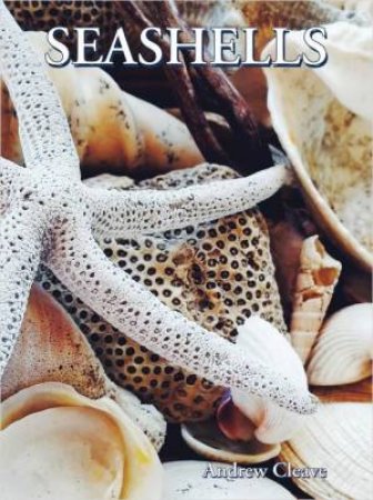 Creatures of the Ocean: Seashells by Andrew Cleave