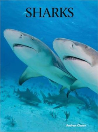 Creatures of the Ocean: Sharks by Andrew Cleave