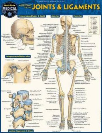 Anatomy of Joints & Ligaments by Vincent Perez