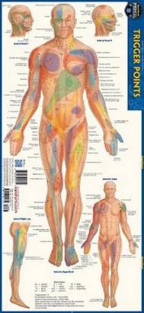 Trigger Points by Vincent Perez