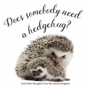 Does Somebody Need A Hedgehug? by Gibbs Smith
