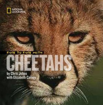 Face to Face With Cheetahs by Chris Johns & Elizabeth Carney