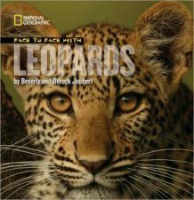 Face To Face With Leopards