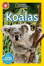  Koalas