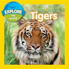 Explore My World Tigers