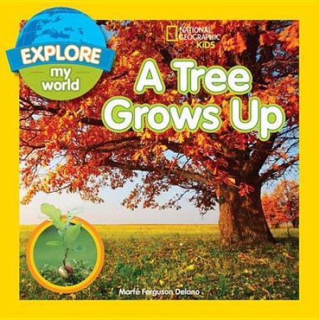 Explore My World A Tree Grows Up by Marfe Ferguson Delano