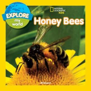Explore My World Honey Bees by Jill Esbaum