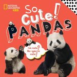 So Cute Pandas