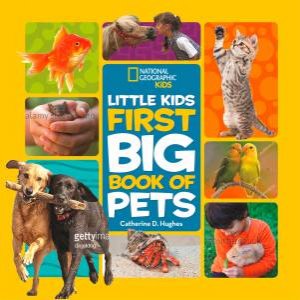 Little Kids First Big Book Of Pets by Various