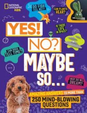 Yes No Maybe So