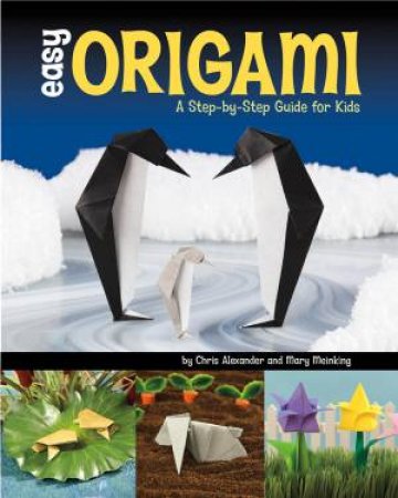 Easy Origami: A Step-by-Step Guide for Kids by MARY MEINKING