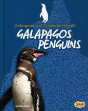 Endangered and Threatened Animals Galapagos Penguins
