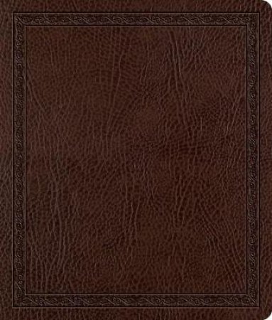 The Holy Bible ESV English Standard Version Journaling Bible by Not Available