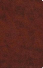 ESV Large Print Value Thinline Bible