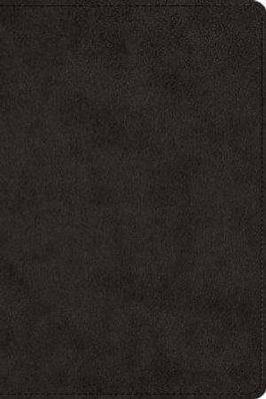 ESV Large Print Bible by Unknown