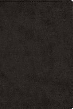 ESV Large Print Bible