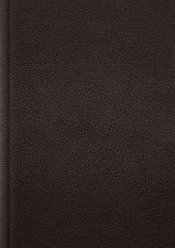 ESV Single Column Journaling Bible Large Print