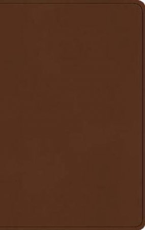 ESV Large Print Value Thinline Bible by Unknown